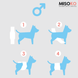 Misoko&Co Багаторазовий підгузок для псів, XS (Франція)