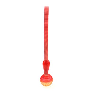 Іграшка для собак MISOKO&CO М'яч з пищалкою та ременем, orange, 35х6 cm