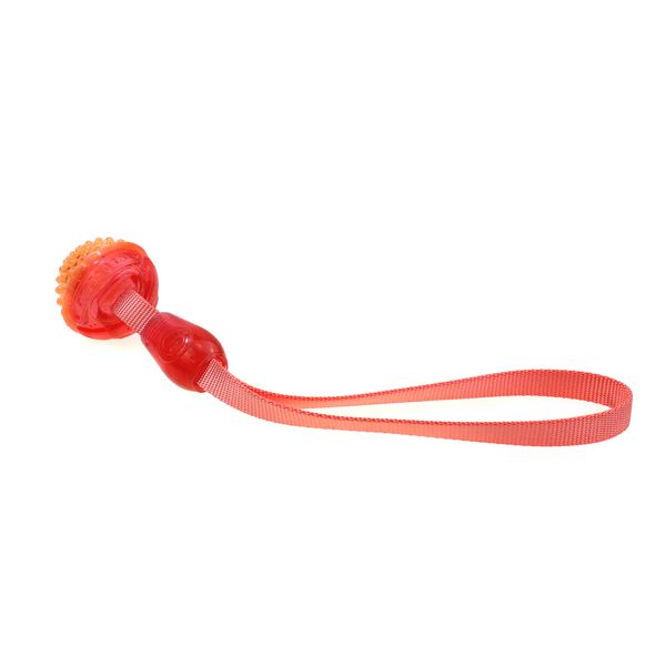 Игрушка для собак MISOKO&CO Мяч с пищалкой и ремнем, orange, 35х6 cm