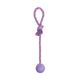 Игрушка для собак MISOKO&CO Мяч с веревкой, purple, 37x5 cm